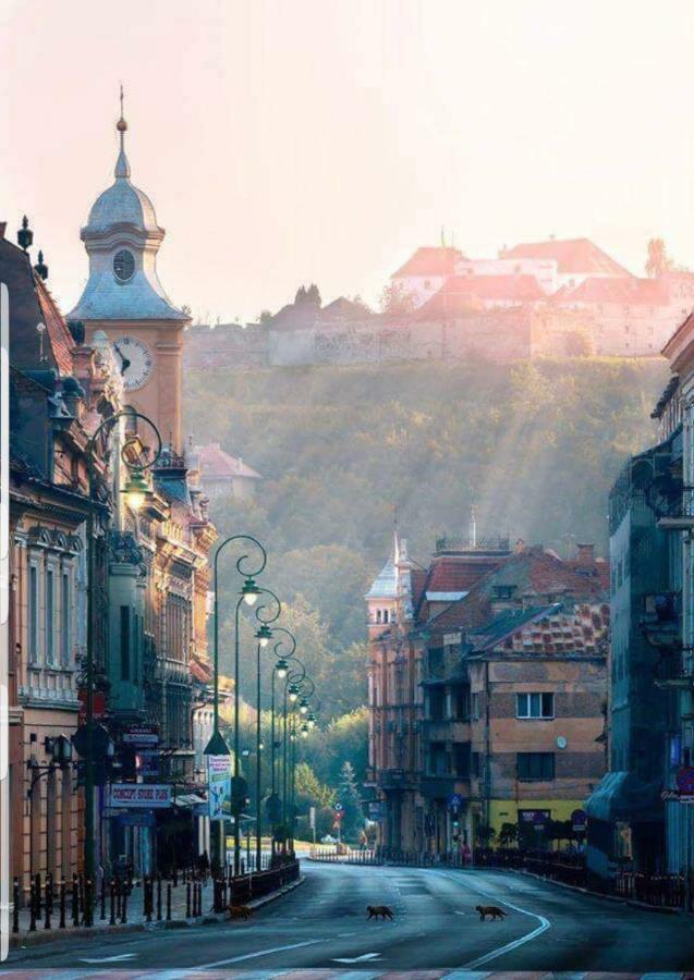 Strada Republicii Nr 26 Appartamento *